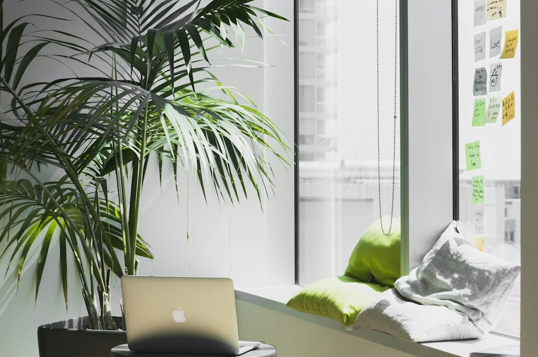 sustainable office setup